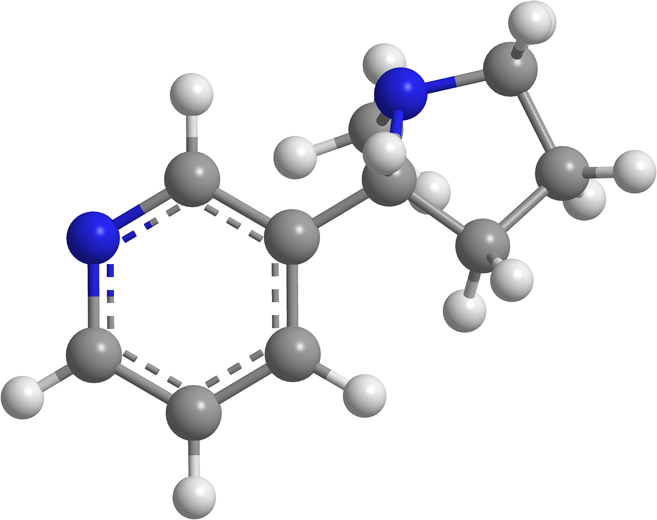 Organic Chemistry CL4STEM OER